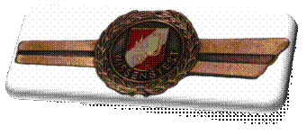 WT_bronze2.jpg